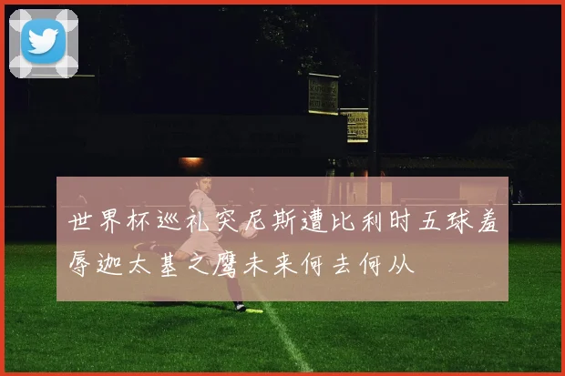 世界杯巡礼突尼斯遭比利时五球羞辱迦太基之鹰未来何去何从