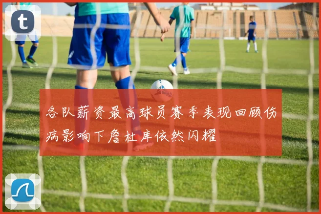 各队薪资最高球员赛季表现回顾伤病影响下詹杜库依然闪耀